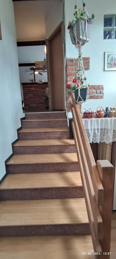 Liammarco Apartment Plaski ภายนอก รูปภาพ